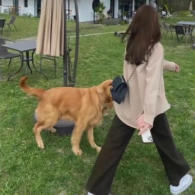 飞奔的高卓人